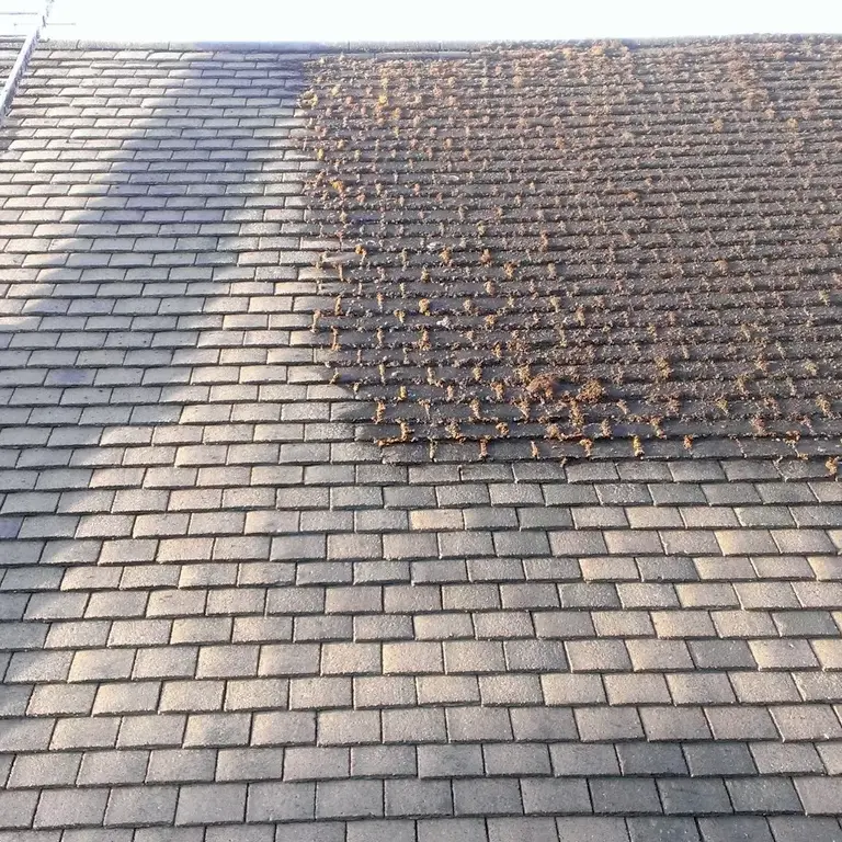 JC Roof Cleaning (Partially Finished)